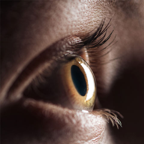 The importance of visual communication The importance of visual communication