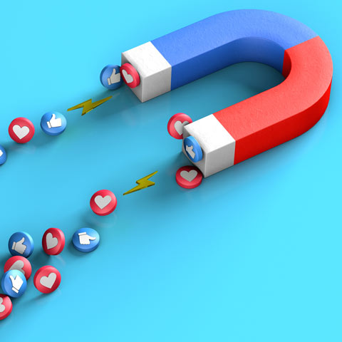 What You Need to Know About the TikTok Algorithm to Go Viral